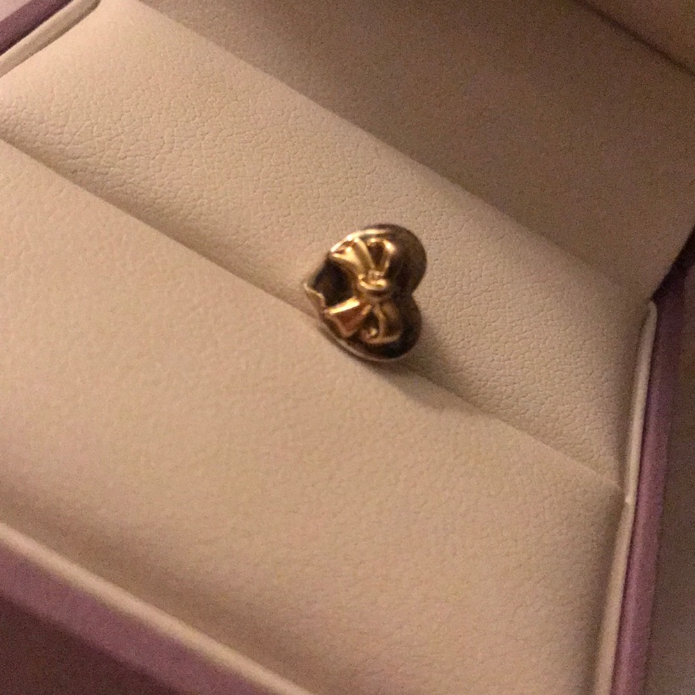 Silver and gold charm